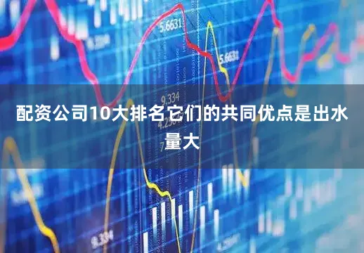 配资公司10大排名它们的共同优点是出水量大