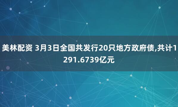 美林配资 3月3日全国共发行20只地方政府债,共计1291.6739亿元