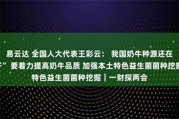 易云达 全国人大代表王彩云： 我国奶牛种源还在被国外“卡脖子” 要着力提高奶牛品质 加强本土特色益生菌菌种挖掘｜一财探两会
