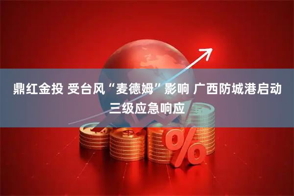鼎红金投 受台风“麦德姆”影响 广西防城港启动三级应急响应