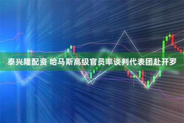 泰兴隆配资 哈马斯高级官员率谈判代表团赴开罗
