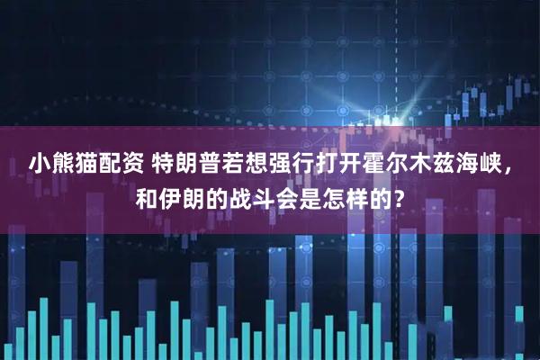 小熊猫配资 特朗普若想强行打开霍尔木兹海峡，和伊朗的战斗会是怎样的？