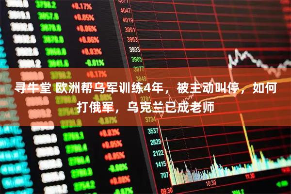 寻牛堂 欧洲帮乌军训练4年，被主动叫停，如何打俄军，乌克兰已成老师