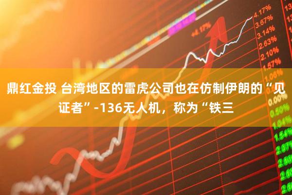 鼎红金投 台湾地区的雷虎公司也在仿制伊朗的“见证者”-136无人机，称为“铁三