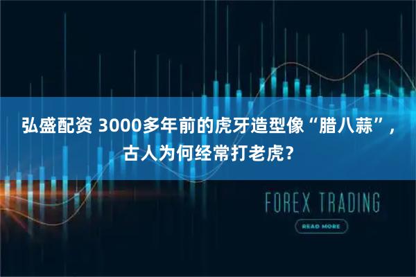 弘盛配资 3000多年前的虎牙造型像“腊八蒜”，古人为何经常打老虎？