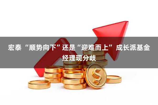 宏泰 “顺势向下”还是“迎难而上” 成长派基金经理现分歧